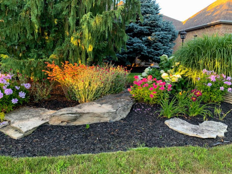 B and M Landscaping And Property Preservation LLC - Newark, OH