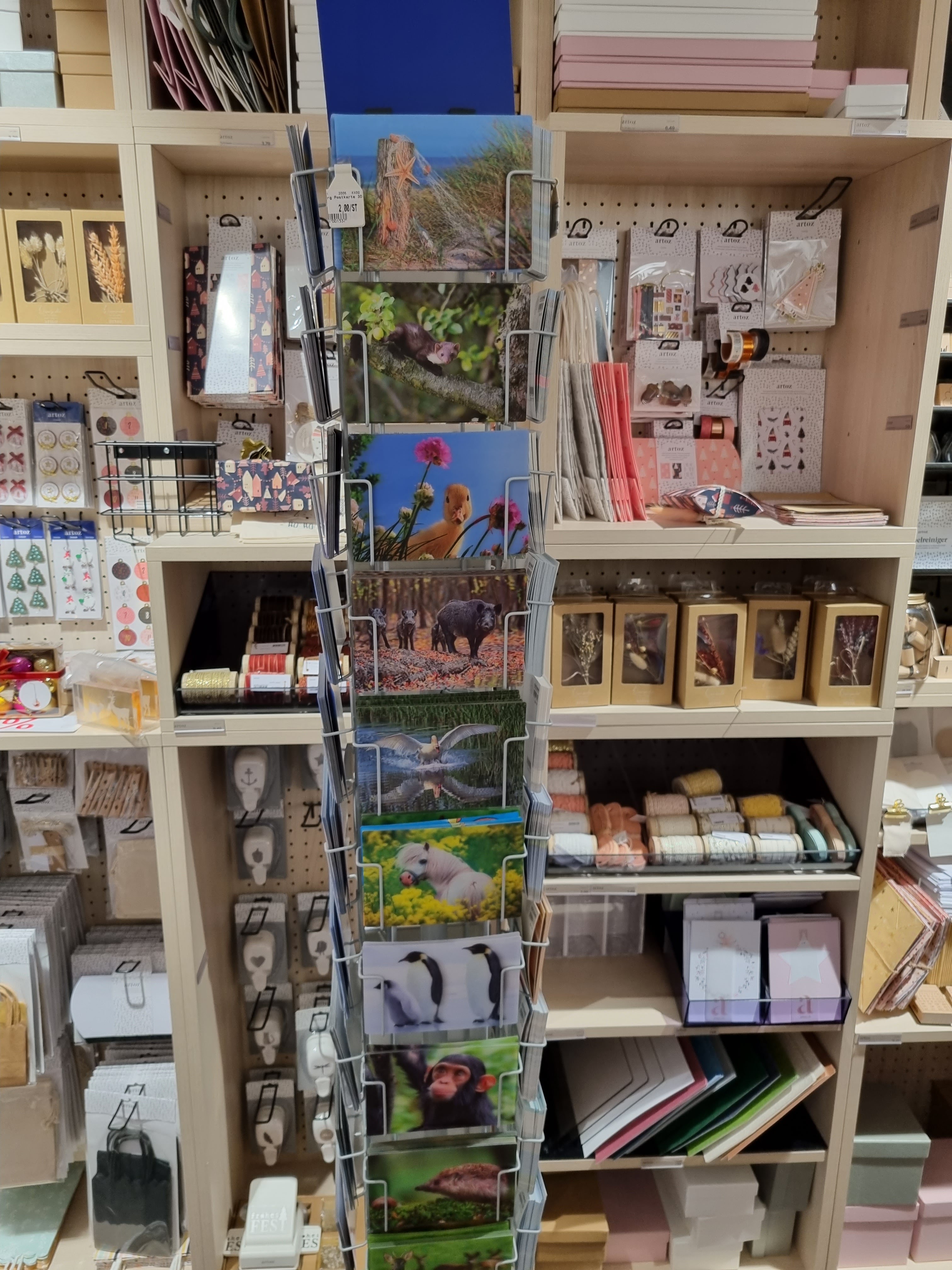 Galerie-Thumbnail