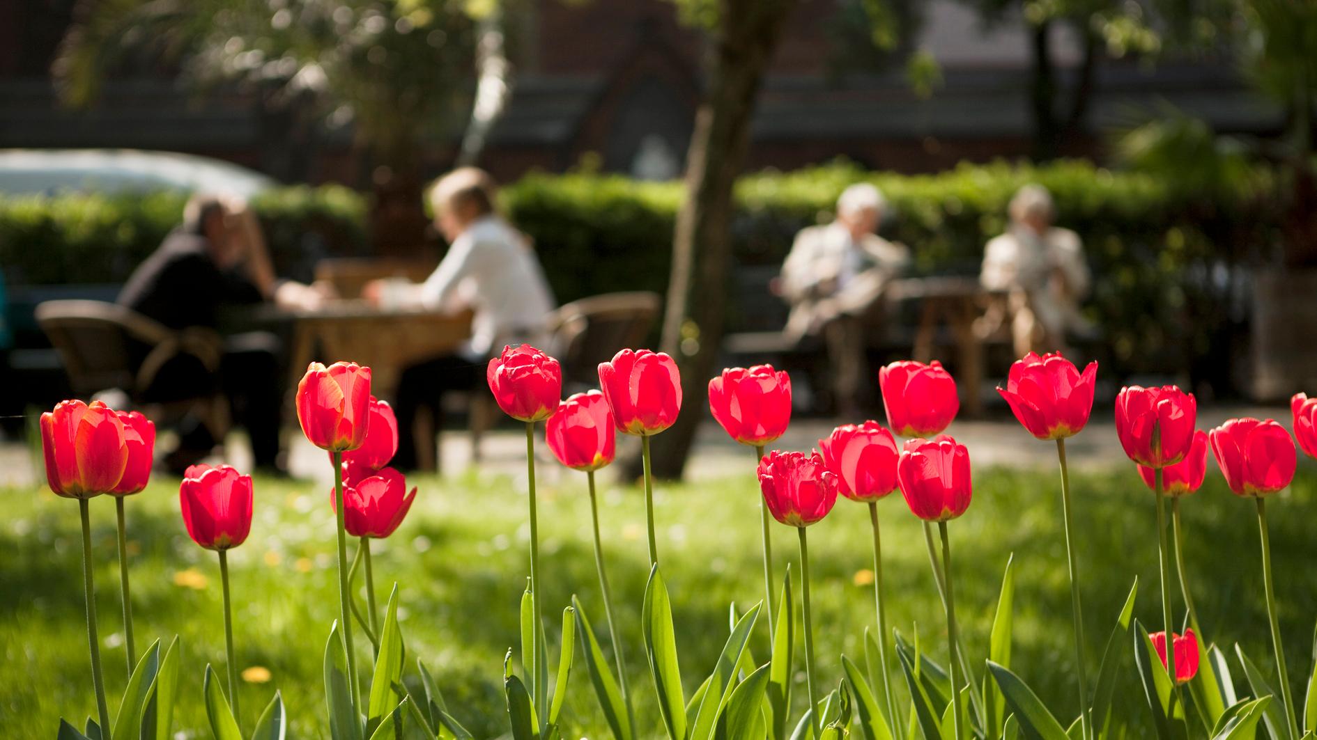 Gerontopsychiatrisches Zentrum (GPZ), Große Hamburger Straße in Berlin