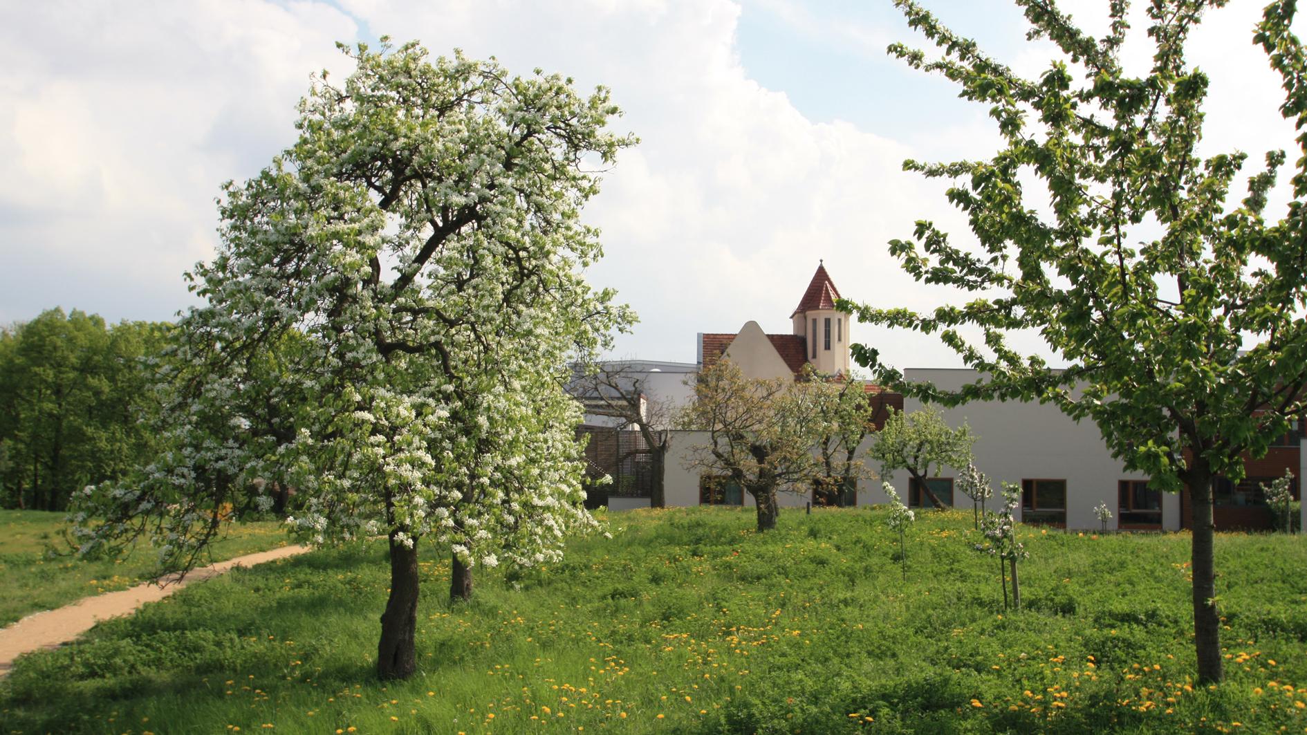 Darmkrebszentrum, Höhensteig in Berlin