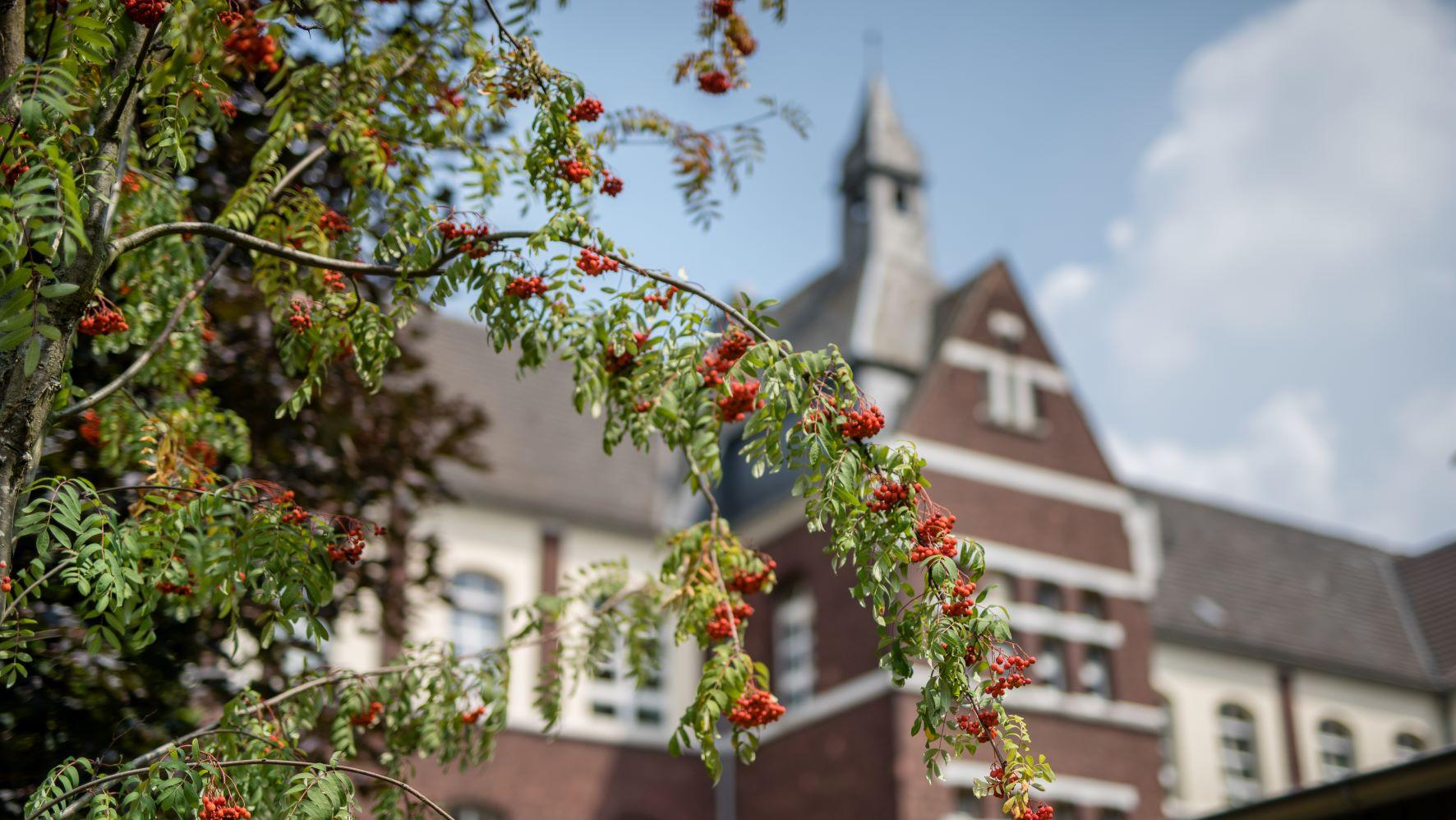 Alexianer Krankenhaus Köln, Kölner Straße in Köln