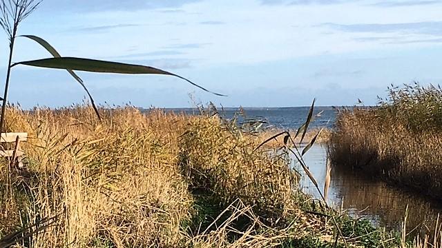 easyquartier Ihre Zimmervermittlung in Ostseebad Wustrow Ferienwohnung oder Ferienhaus, Hermann-Löns-Straße in Wustrow