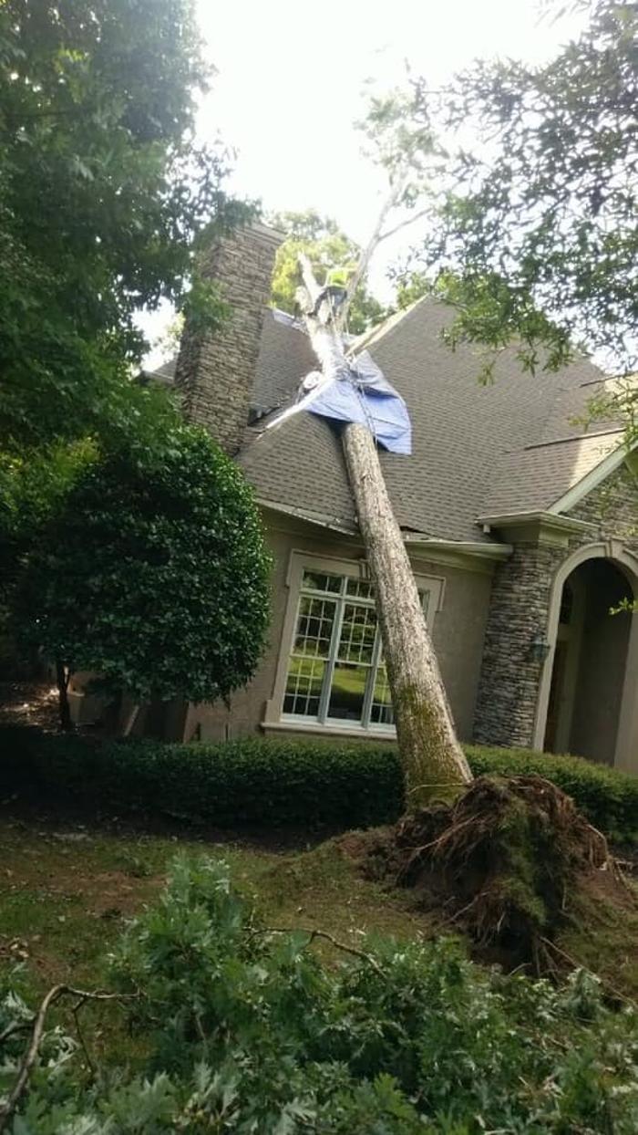 Woody's Tree Service - Stanfield, NC