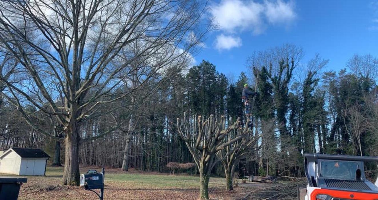 Woody's Tree Service - Stanfield, NC