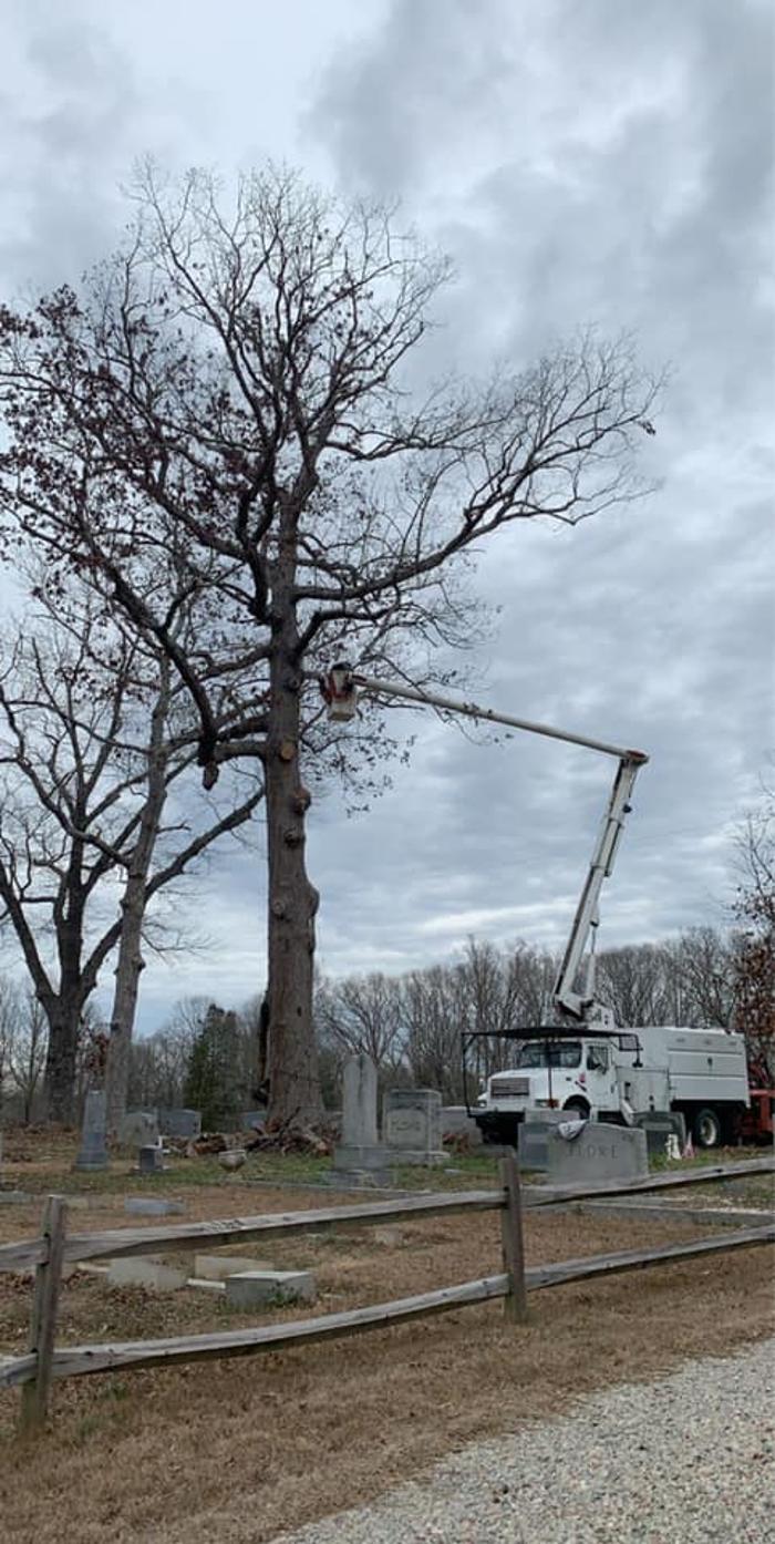 Woody's Tree Service - Stanfield, NC