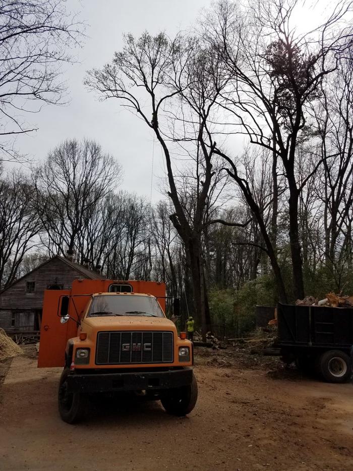 Woody's Tree Service - Stanfield, NC