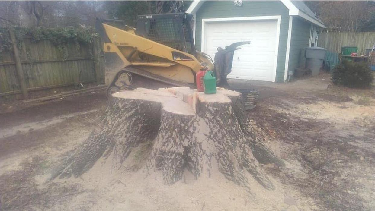 Woody's Tree Service - Stanfield, NC