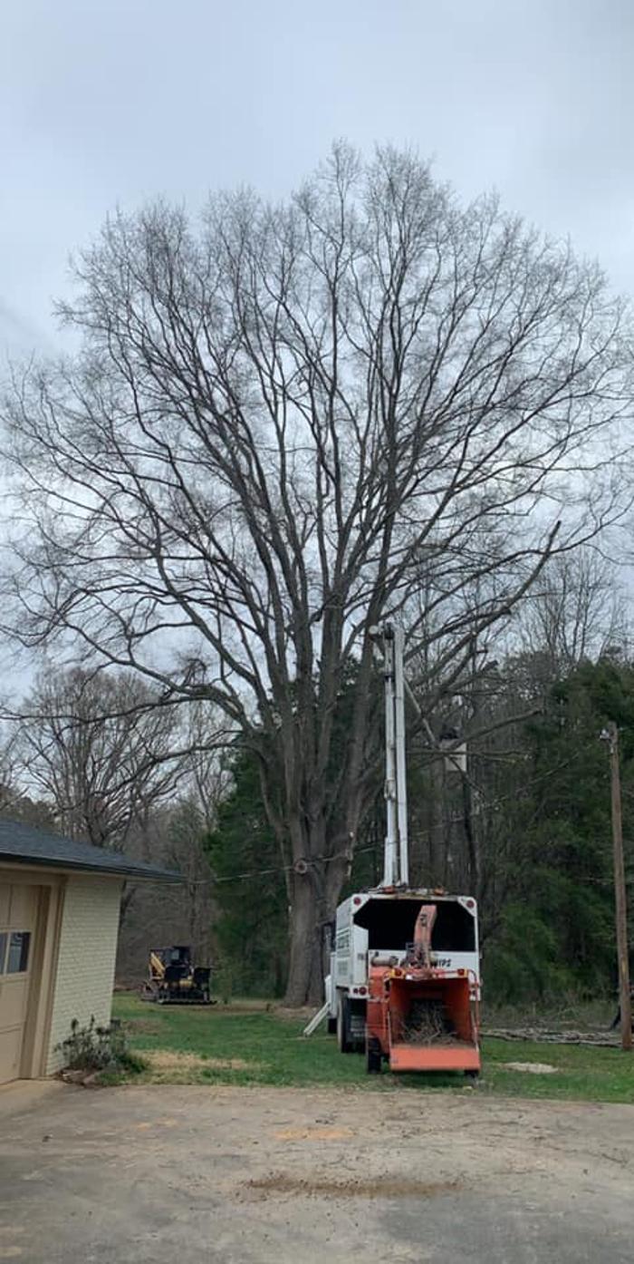 Woody's Tree Service - Stanfield, NC