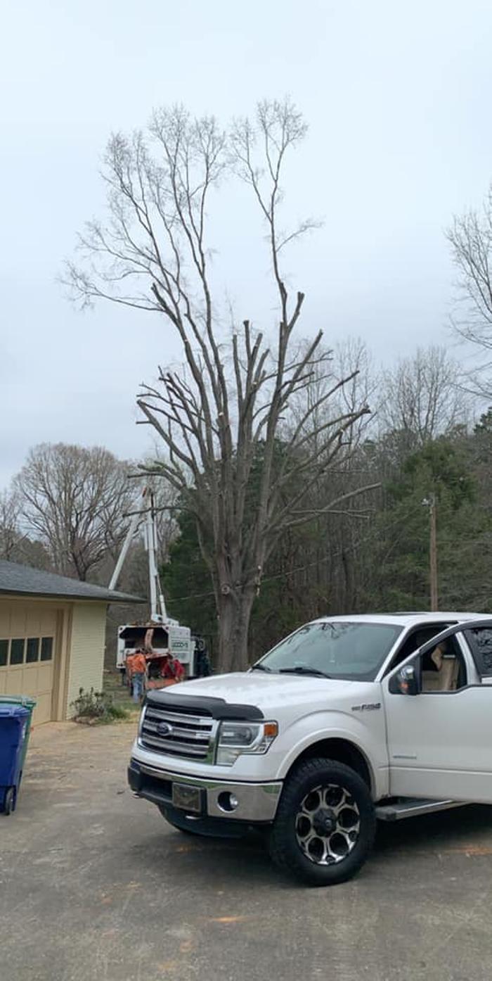 Woody's Tree Service - Stanfield, NC