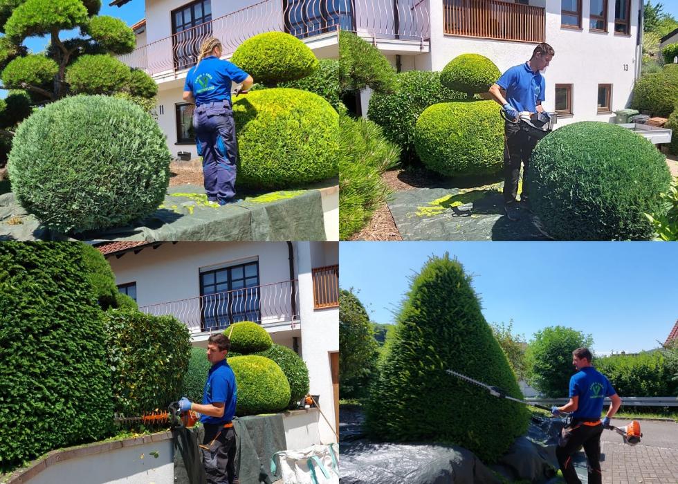 Achim Gartenpflege, Käfertaler Straße in Mannheim