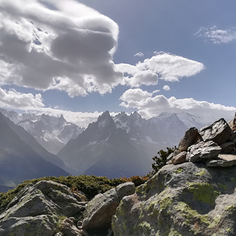 Miniature de la galerie