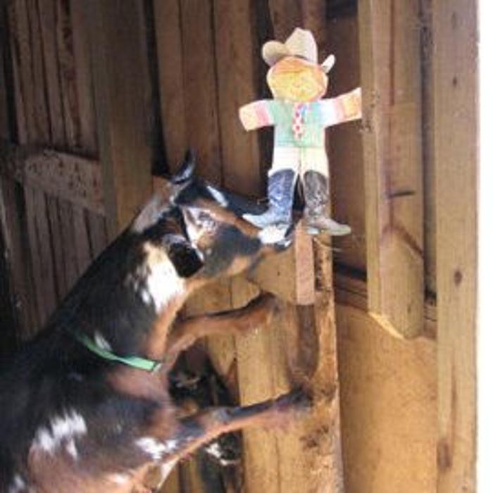 Cherith Hall - Red Oak, VA