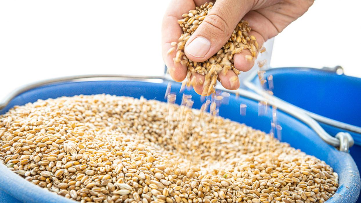 ZG Raiffeisen Getreidesilo, Friedrich-Hecker-Allee in Waghäusel