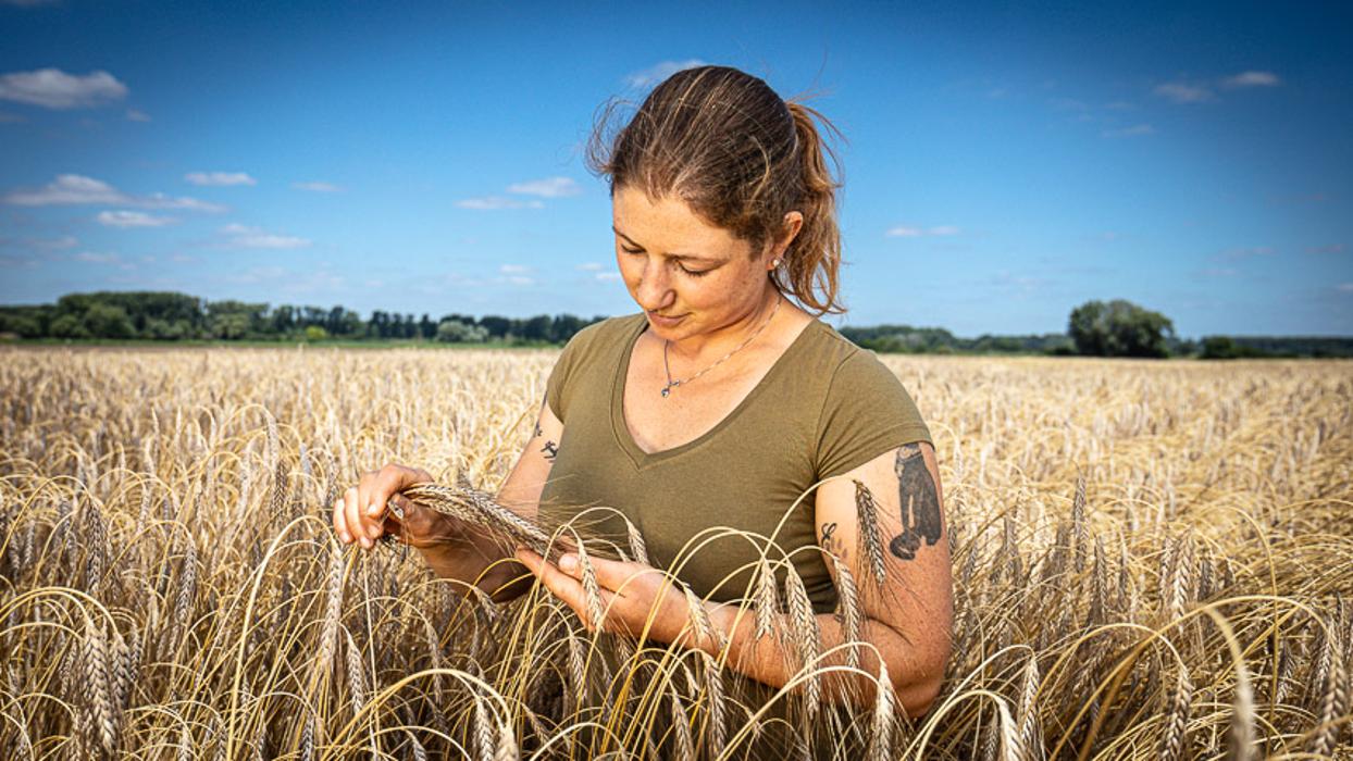 ZG Raiffeisen Agrar-Niederlassung, Güterhallenstraße in Achern