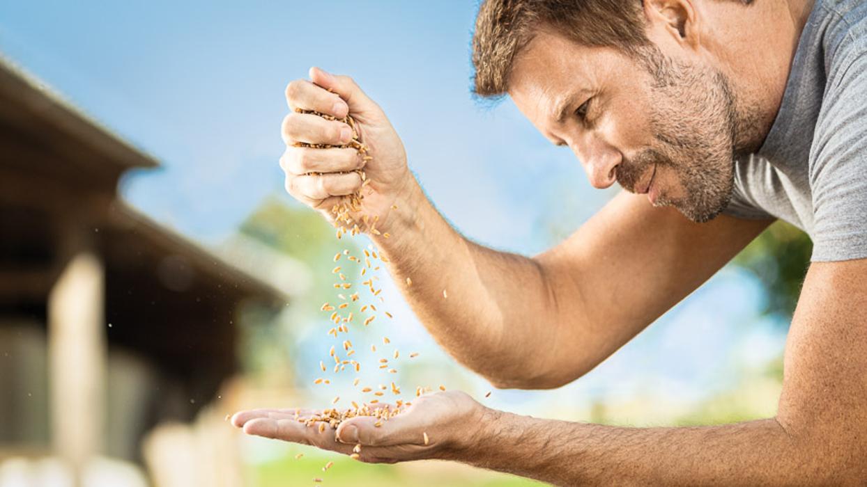 ZG Raiffeisen Agrar-Niederlassung und Getreidesilo, Im Sulzfeld in Stühlingen