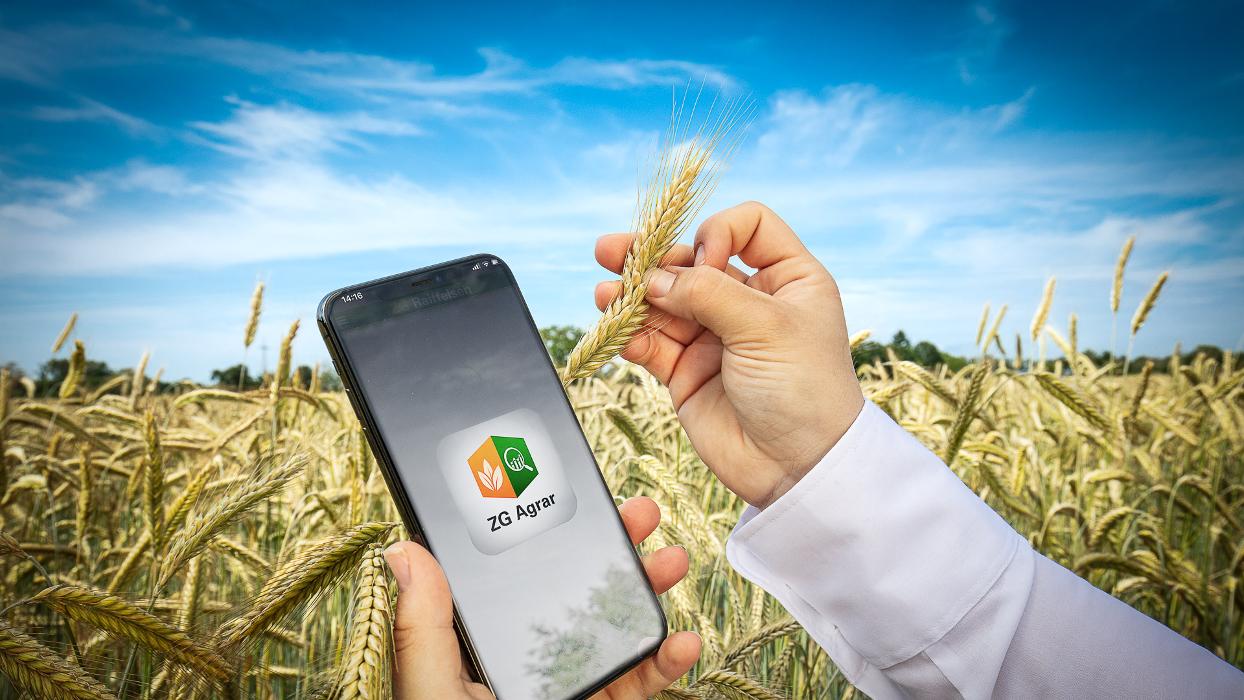 ZG Raiffeisen Agrar-Niederlassung, Industriestraße in Heddesheim