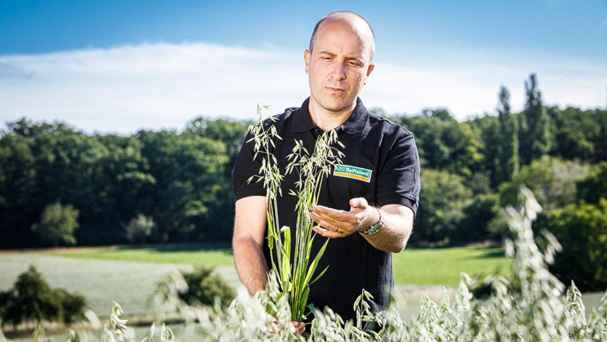 ZG Raiffeisen Getreidesilo, Neumühle in Werbach