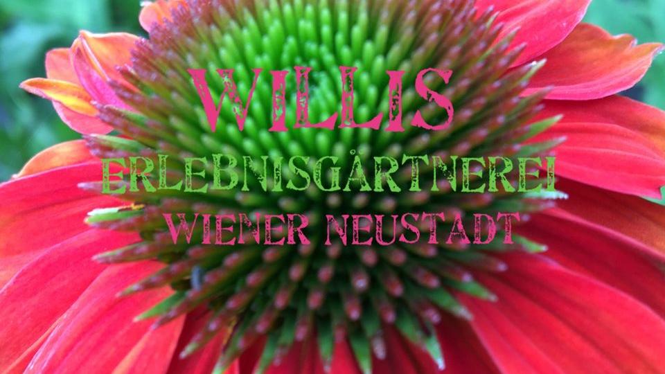 Willis Erlebnisgärtnerei, Franz von Furtenbach-Straße in Wiener Neustadt