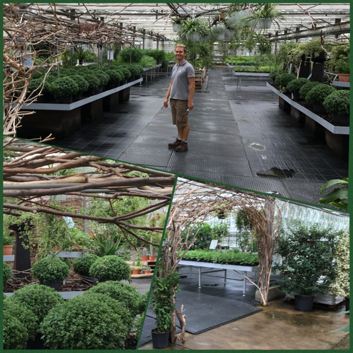 Willis Erlebnisgärtnerei, Franz von Furtenbach-Straße in Wiener Neustadt