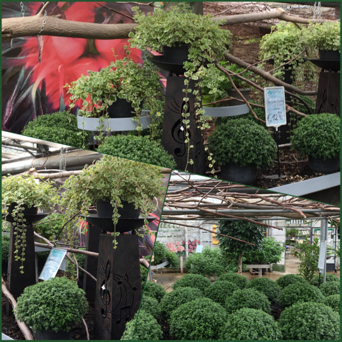 Willis Erlebnisgärtnerei, Franz von Furtenbach-Straße in Wiener Neustadt