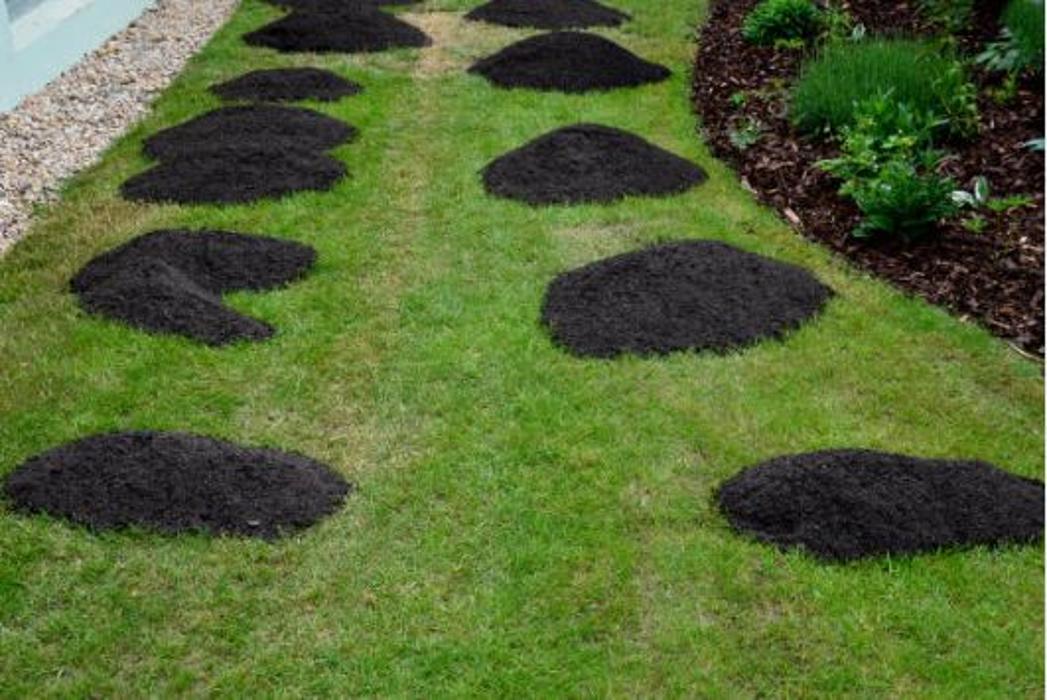 A&J Lawn Services, LLC - Galivants Ferry, SC