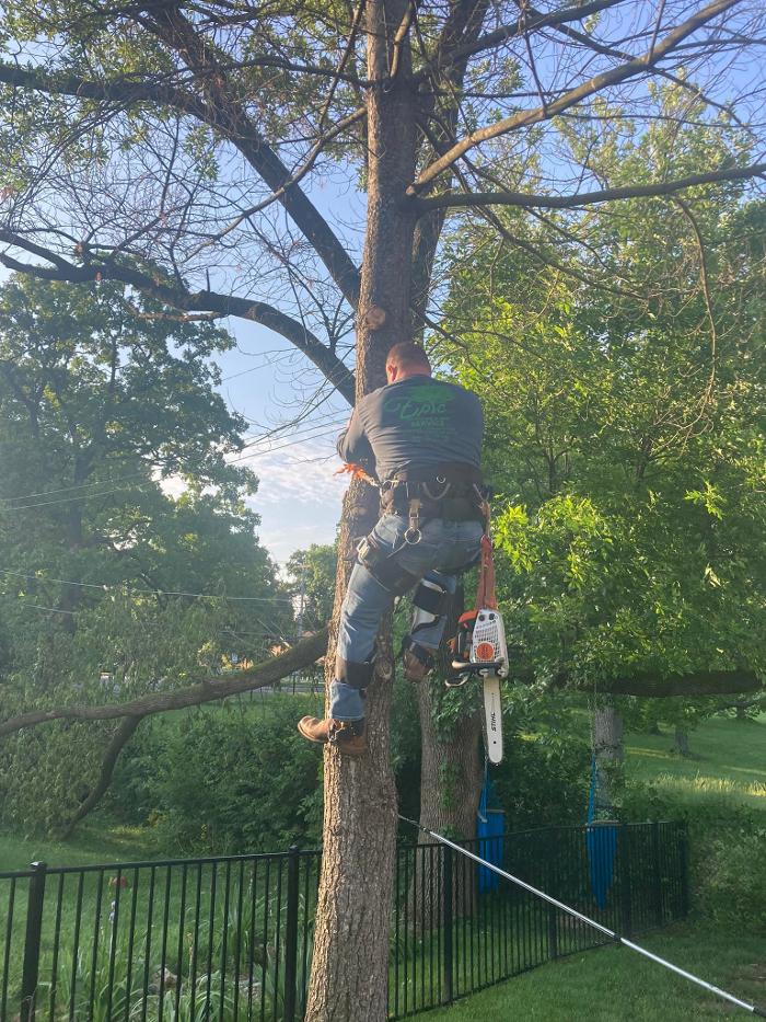 Epic Landscaping & Tree Service, LLC - Perryville, MO