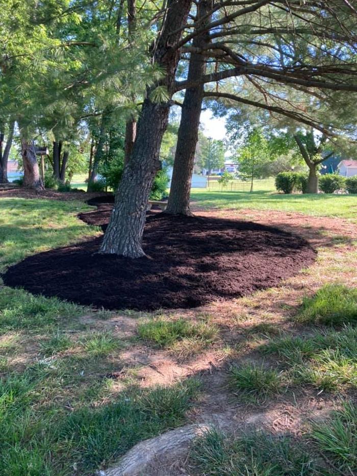 Epic Landscaping & Tree Service, LLC - Perryville, MO