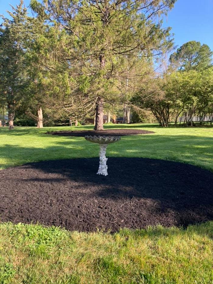 Epic Landscaping & Tree Service, LLC - Perryville, MO