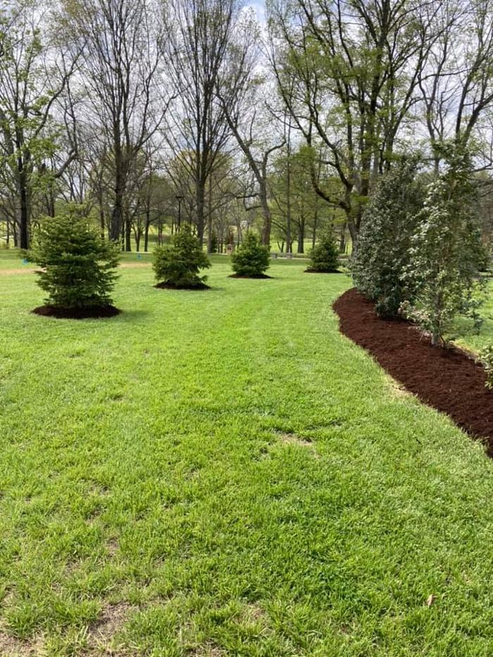 Epic Landscaping & Tree Service, LLC - Perryville, MO
