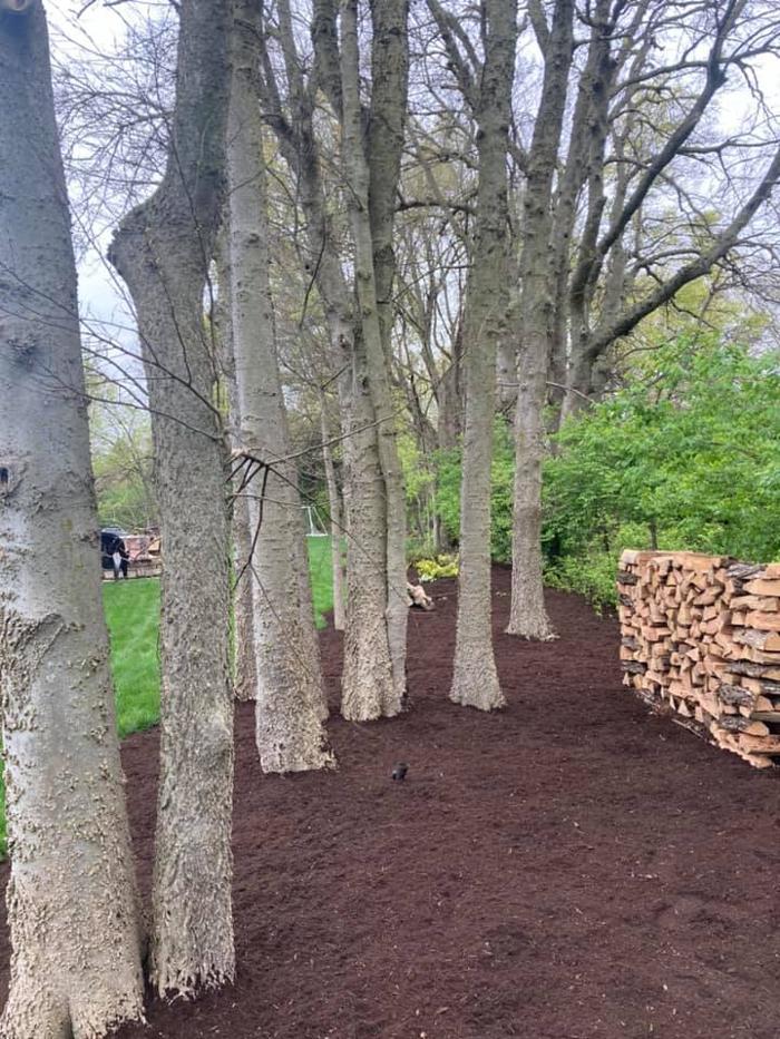 Epic Landscaping & Tree Service, LLC - Perryville, MO