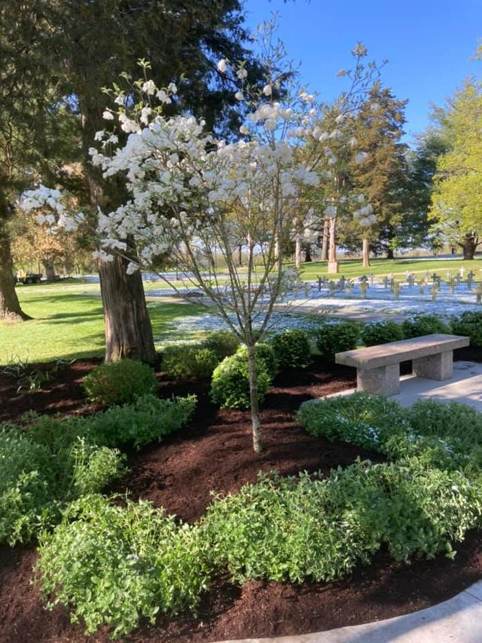 Epic Landscaping & Tree Service, LLC - Perryville, MO