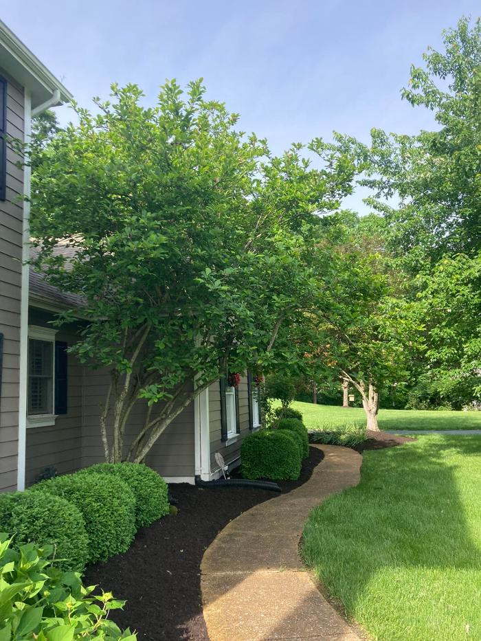 Epic Landscaping & Tree Service, LLC - Perryville, MO