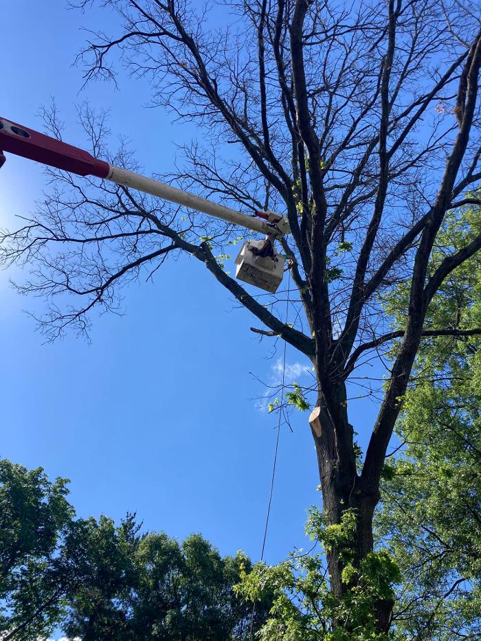 Epic Landscaping & Tree Service, LLC - Perryville, MO