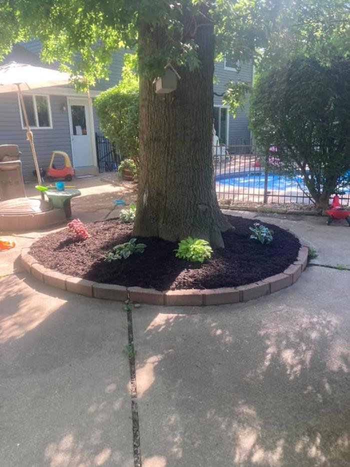Epic Landscaping & Tree Service, LLC - Perryville, MO