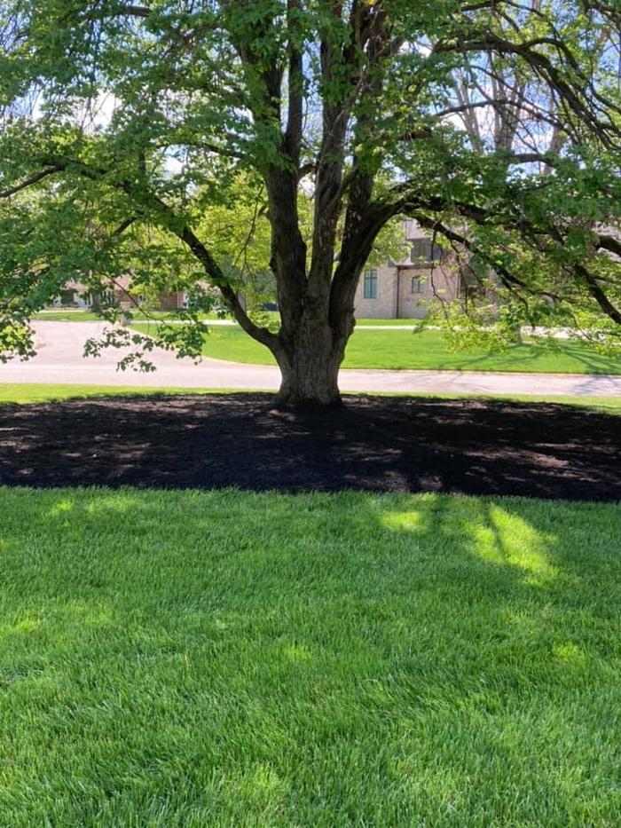 Epic Landscaping & Tree Service, LLC - Perryville, MO