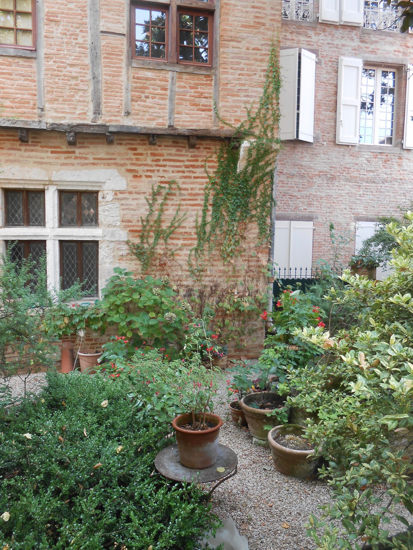 galerie image