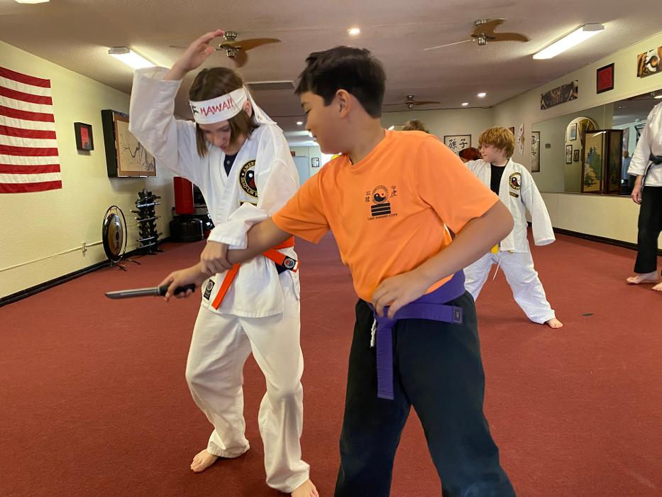 Havasu Shao-Lin Kempo - Lake Havasu City, AZ