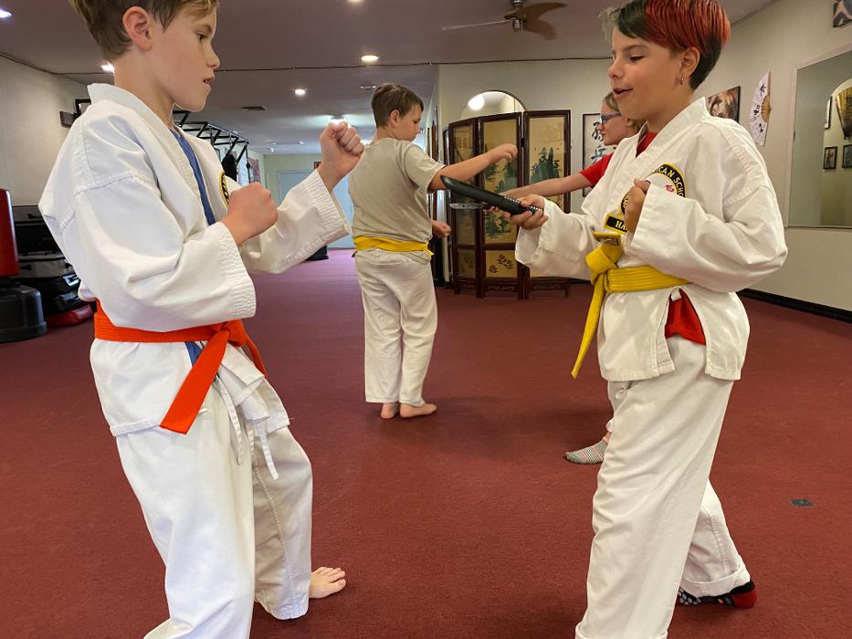 Havasu Shao-Lin Kempo - Lake Havasu City, AZ