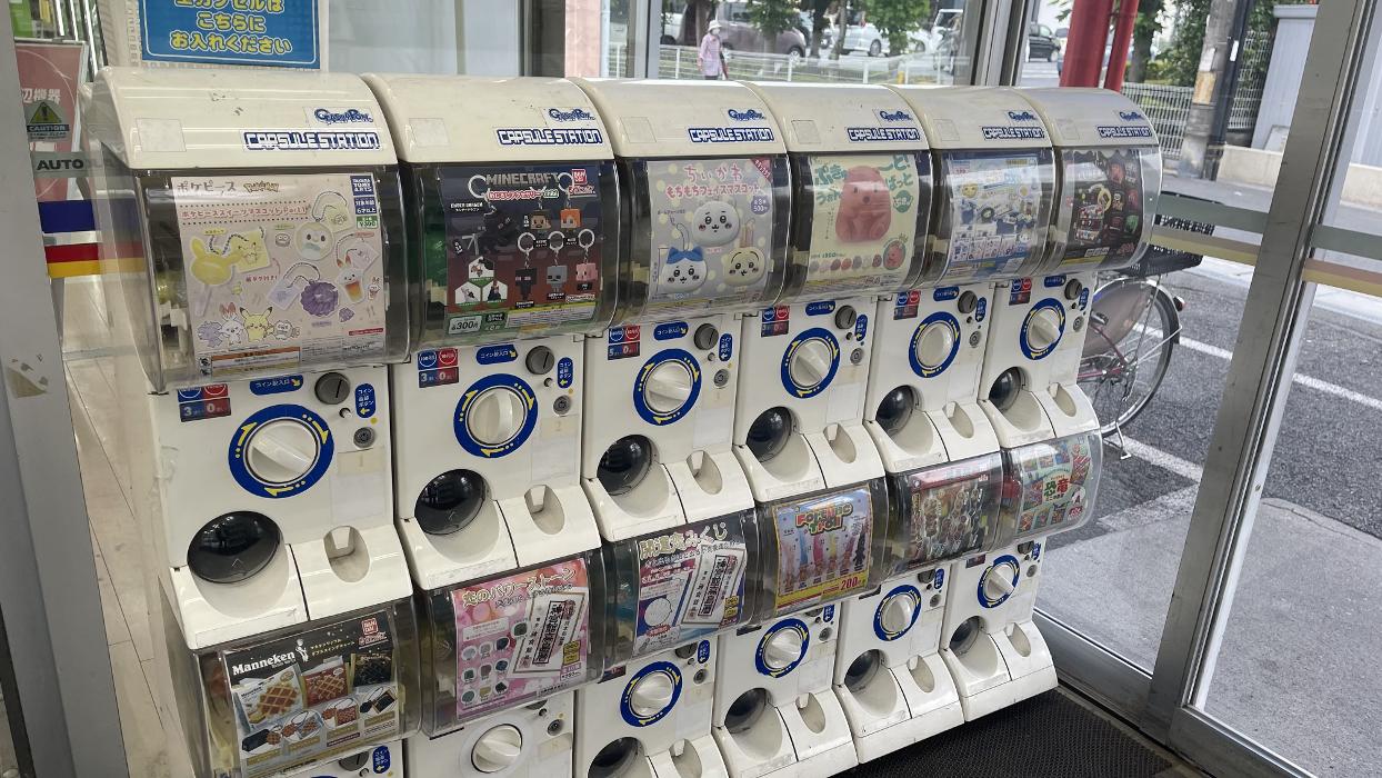 ゲオ 川口 芝 店