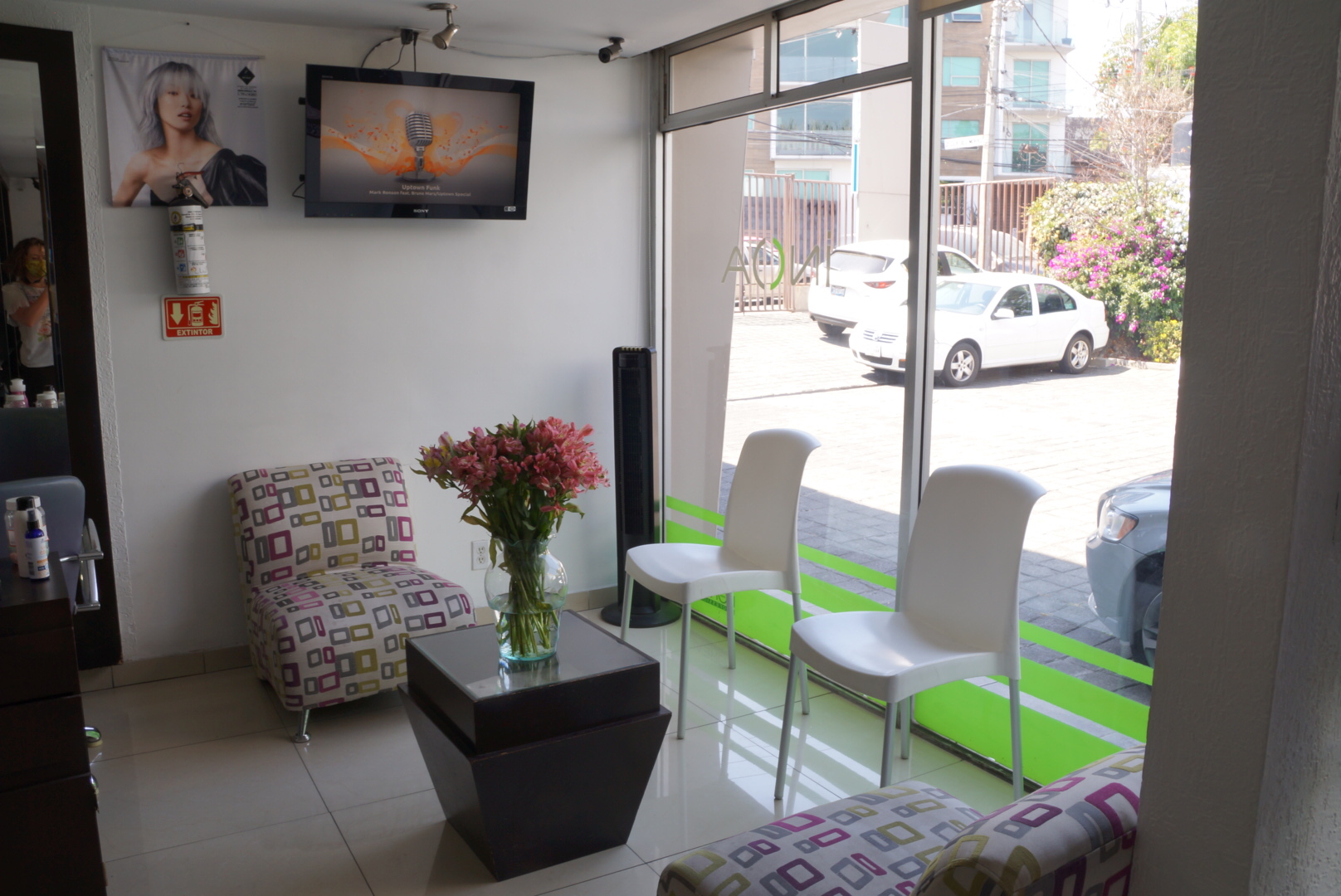 Galería en miniatura