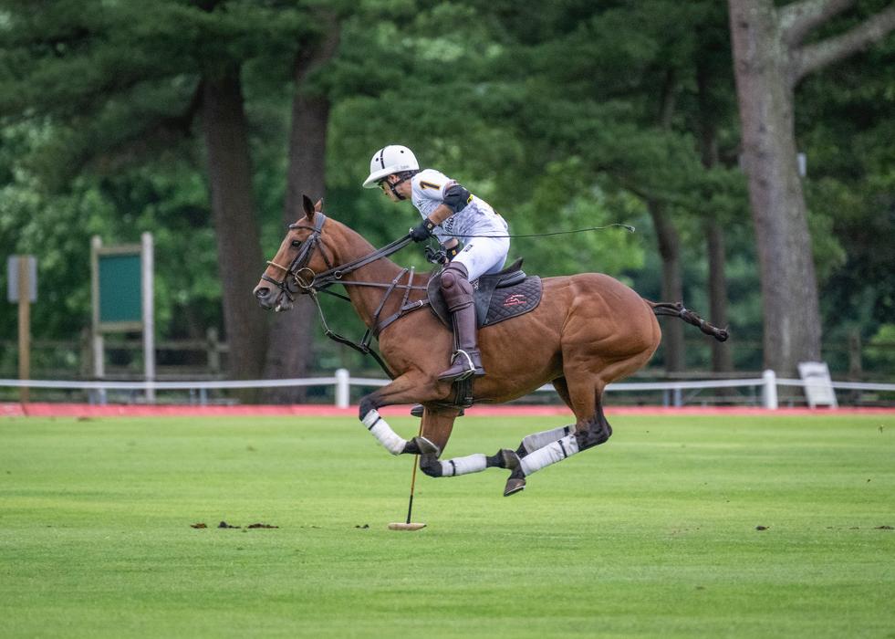 Bethpage Polo Field - Bethpage, NY