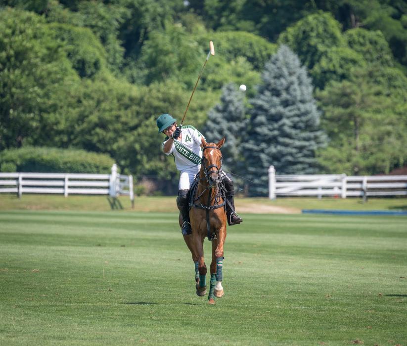 Bethpage Polo Field - Bethpage, NY