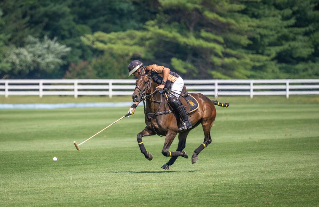 Bethpage Polo Field - Bethpage, NY