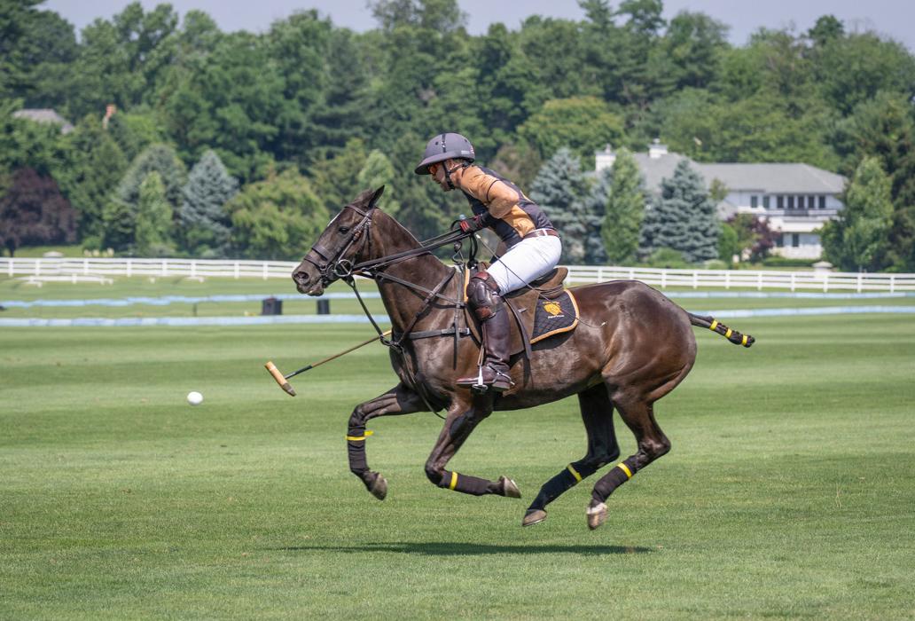Bethpage Polo Field - Bethpage, NY