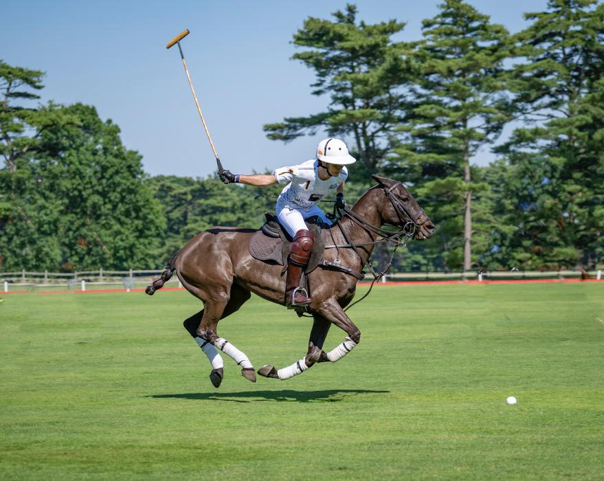 Bethpage Polo Field - Bethpage, NY