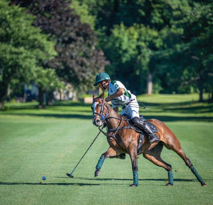 Bethpage Polo Field - Bethpage, NY