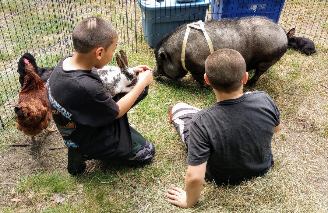 New England Party Animals - Manchester, NH