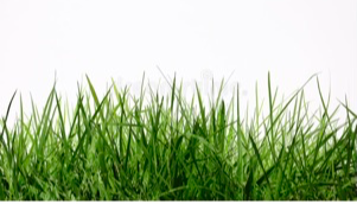 Tim's Sprinklers and Lawns - Littleton, CO