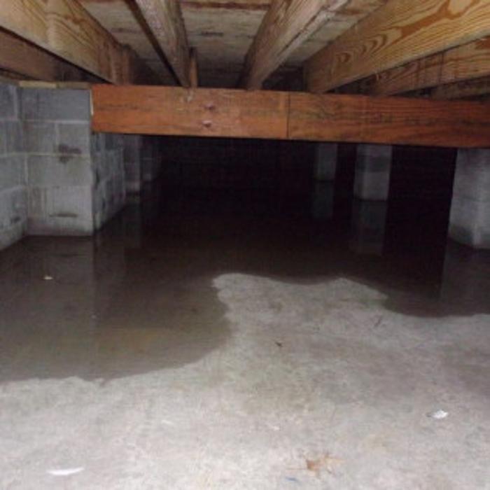 Blue Star Restoration, LLC - Owensboro, KY