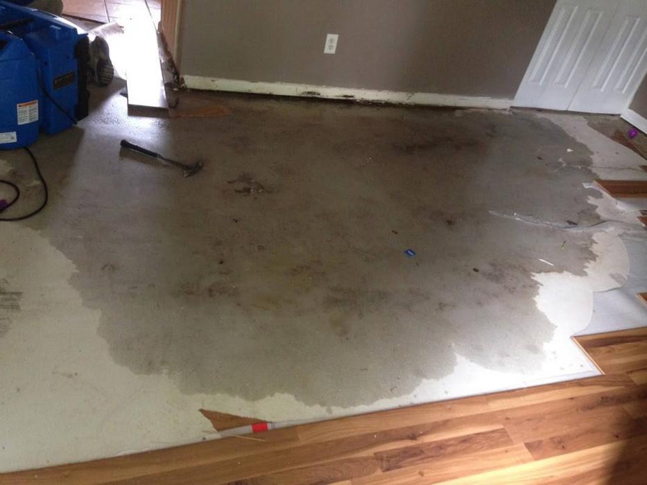 Blue Star Restoration, LLC - Owensboro, KY